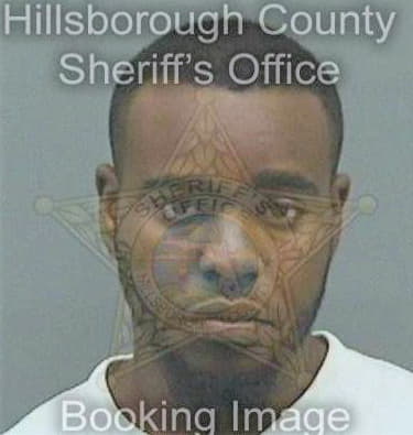 Sinisterra Louis - Hillsborough County, FL 