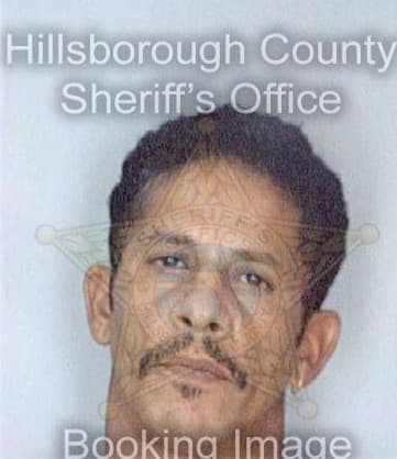 Hernandez Elliott - Hillsborough County, FL 