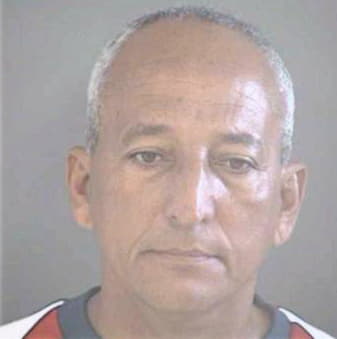 Medina Luis - Hillsborough County, FL 