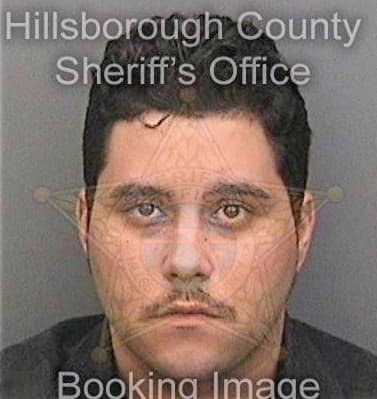 Maldonado Jonathan - Hillsborough County, FL 