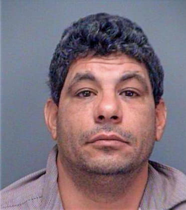 Dawood Mina - Pinellas County, FL 