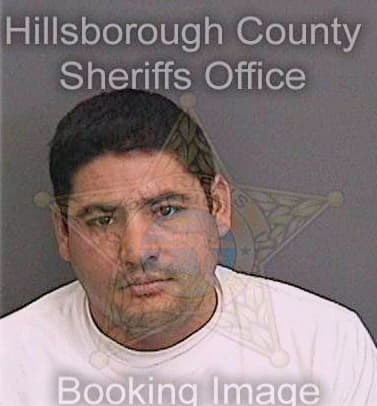 Reyesgonzalez Ronaldi - Hillsborough County, FL 