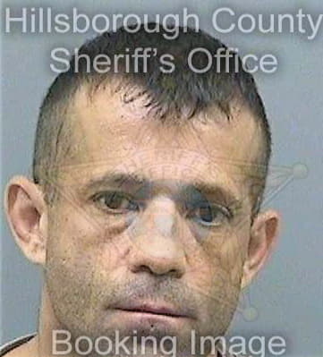 Oliver Shawn - Hillsborough County, FL 