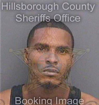 Simmons Akeem - Hillsborough County, FL 