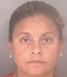 Domenech Jennifer - Hillsborough County, FL 