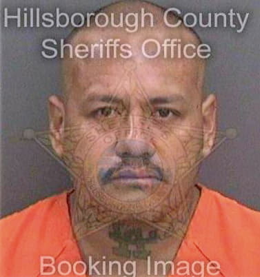 Valeraespinosa Arturo - Hillsborough County, FL 