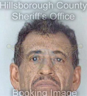 Gudino Jorge - Hillsborough County, FL 