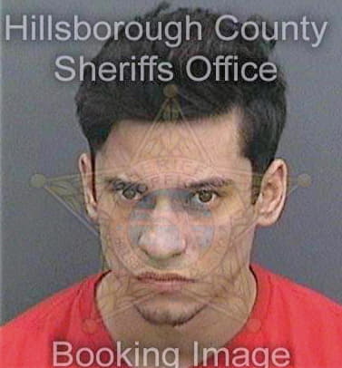 Bennett Alexander - Hillsborough County, FL 