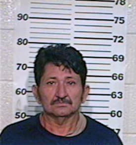 Gonzalez Fernando - Hidalgo County, TX 