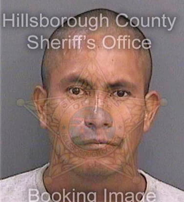 Perezmejia Isaias - Hillsborough County, FL 