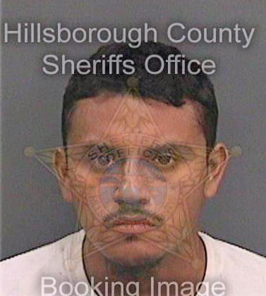 Delossantosaquino Saul - Hillsborough County, FL 