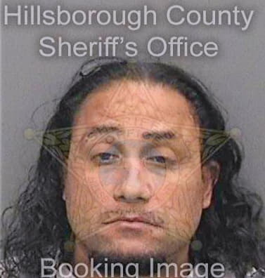 Dejesus Alfonso - Hillsborough County, FL 