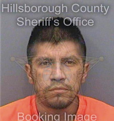 Francovazquez Gilberto - Hillsborough County, FL 