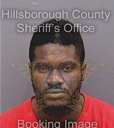 Bradley Azarius - Hillsborough County, FL 