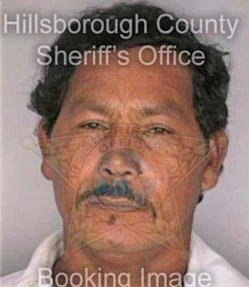 Martinez Isaias - Hillsborough County, FL 