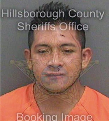 Matiasdomingo Fidel - Hillsborough County, FL 