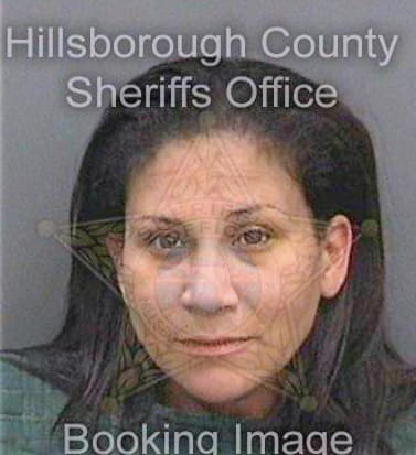 Soto Damaris - Hillsborough County, FL 