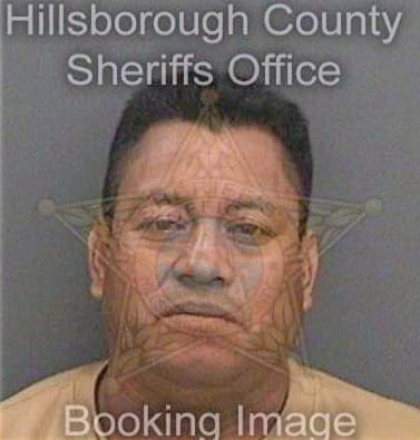 Perezhernandez Felipe - Hillsborough County, FL 