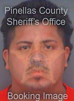 Guevararomero Roberto - Pinellas County, FL 