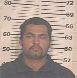 Trevino Aaron - Hidalgo County, TX 