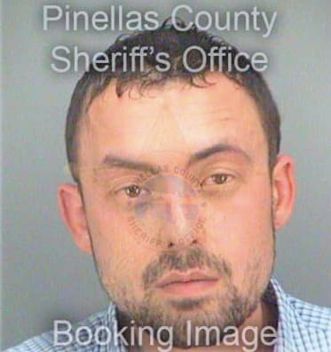 Roberts David - Pinellas County, FL 