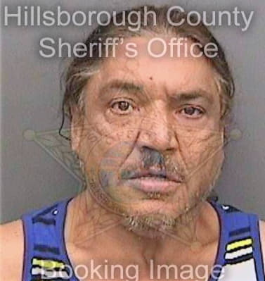 Perezortiz Luis - Hillsborough County, FL 