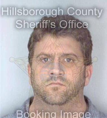 Neal Brian - Hillsborough County, FL 