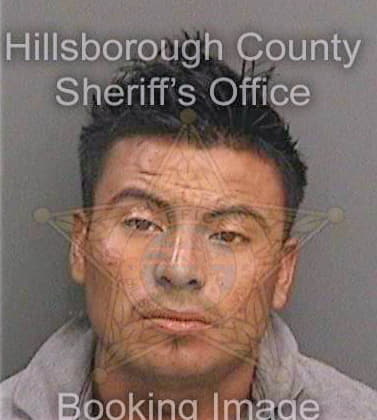 Ramosreynoso Mario - Hillsborough County, FL 