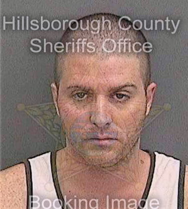 Fortney Michael - Hillsborough County, FL 