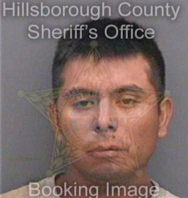 Gomez Vicente - Hillsborough County, FL 