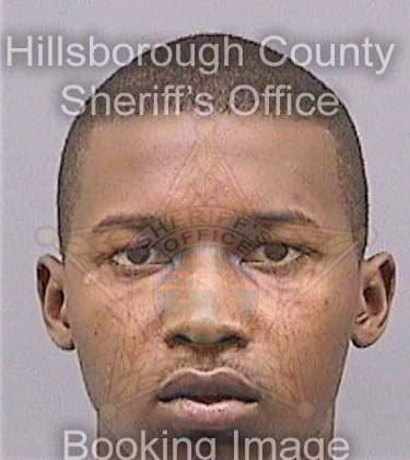 Sampson Kelvin - Hillsborough County, FL 