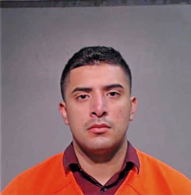 Hernandez Aaron - Hidalgo County, TX 