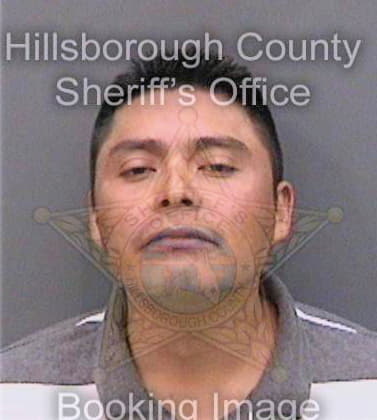 Jimenezperez Santos - Hillsborough County, FL 