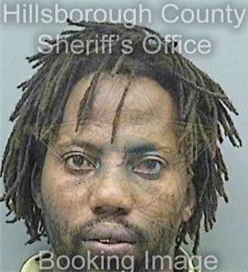 Singletary Daniel - Hillsborough County, FL 