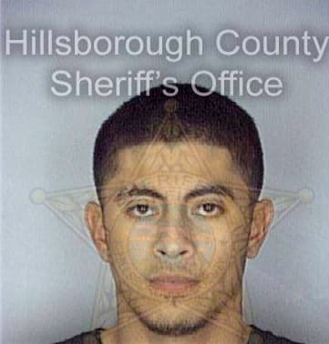 Medina Felix - Hillsborough County, FL 