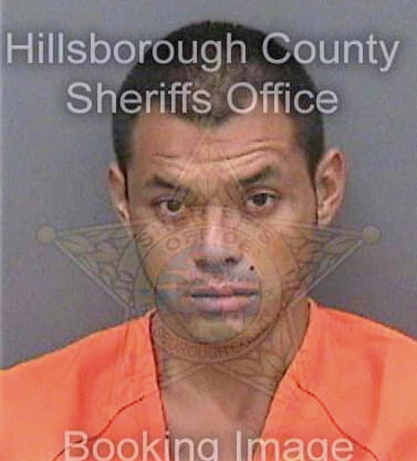 Villalobos Servando - Hillsborough County, FL 