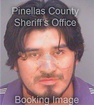 Hernandez Juan - Pinellas County, FL 