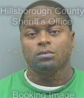 Mcclendon Michael - Hillsborough County, FL 