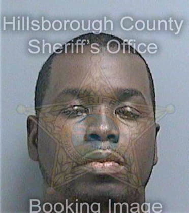 Black Queodatus - Hillsborough County, FL 