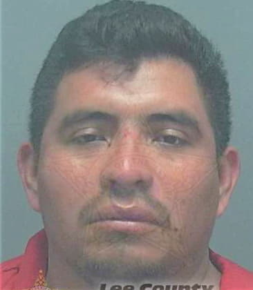 Cesar Agusto - Lee County, FL 