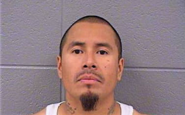 Hernandez Margarito - Cook County, IL 