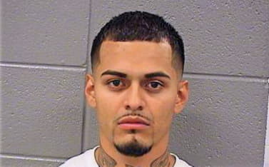 Garcia Yancarlo - Cook County, IL 