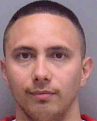 Gonzalez Roberto - Lee County, FL 