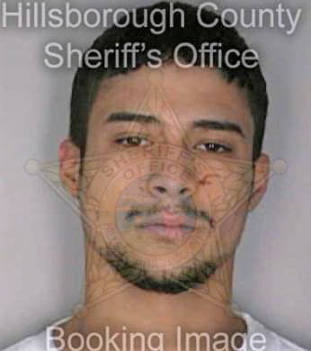 Sanchez Andres - Hillsborough County, FL 