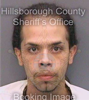 Duque Ricardo - Hillsborough County, FL 