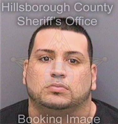 Ramirez Marcelo - Hillsborough County, FL 