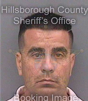 Betancourtmarin Ivan - Hillsborough County, FL 