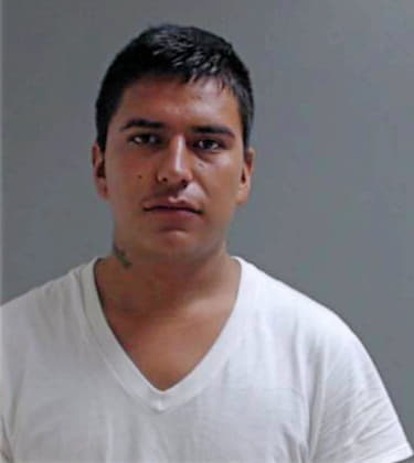 Hernandez Luis - Hidalgo County, TX 