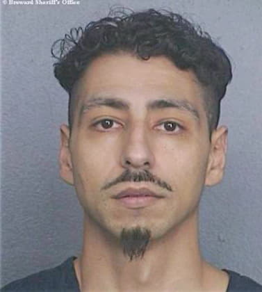 Rodriguez Paul - Broward County, FL 