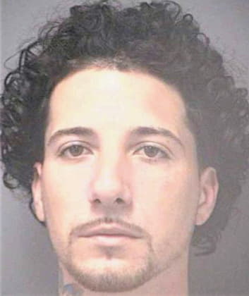 Gonzalez David - Hillsborough County, FL 